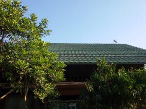 20150825_171335-300x225 Rumah Tinggal Sidowayah Klaten