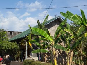 20150831_154917-300x225 Rumah Tinggal Sidowayah Klaten